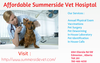 Affordable Veterinery Hosiptal In Edmonton Image